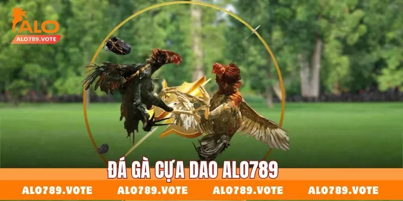 Nguyên nhân khiến nhiều người tìm đến sân chơi đá gà của nhà cái